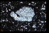 ap1101_01_01