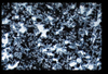ap1101_01_06