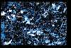 ap1101_01_07