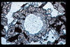 ap1101_01_09