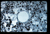 ap1101_01_10