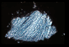 ap1101_01_13