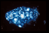 ap1101_01_17