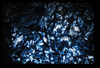 ap1101_01_20