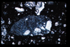ap1101_02_01