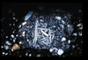 ap1101_02_03