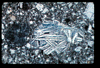 ap1101_02_04