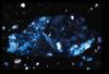ap1101_03_10