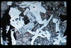 ap1101_03_16