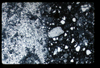 ap1201_04_02