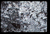 ap1201_04_09