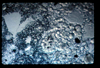 ap1201_04_11