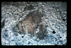 ap1201_04_13