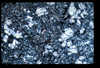 ap1201_05_10