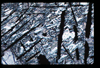 ap1201_05_12