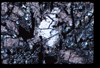 ap1201_05_13