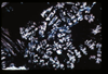 ap1201_06_04