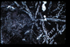 ap1201_06_10
