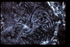 ap1201_06_11