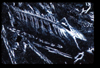 ap1201_06_15