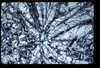 ap1201_08_19
