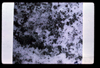ap1201_11_10