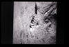 ap1401_01_02