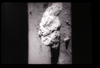 ap1401_01_12