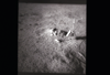 ap1401_03_04