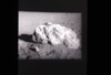 ap1401_03_13