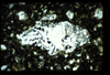 ap1401_05_09