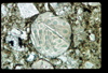 ap1401_05_19