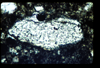 ap1401_06_01