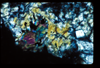 ap1401_07_10