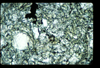 ap1401_08_05