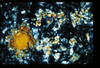 ap1401_08_06