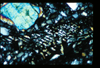 ap1401_08_11