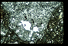 ap1401_08_14