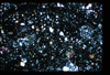 ap1401_08_17