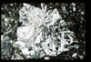 ap1401_09_07