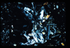 ap1401_09_08
