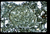ap1401_09_17