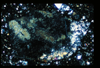 ap1401_10_09