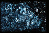 ap1401_11_04