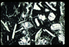 ap1401_11_12