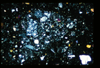 ap1401_11_17