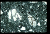 ap1401_12_10
