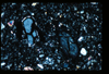 ap1401_12_11