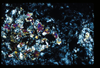 ap1401_13_02