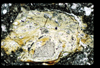ap1401_13_11